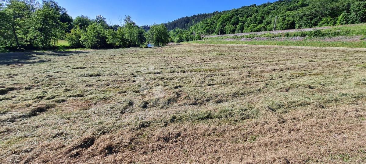 Terreno edificabile Ogulin, 8.800m2