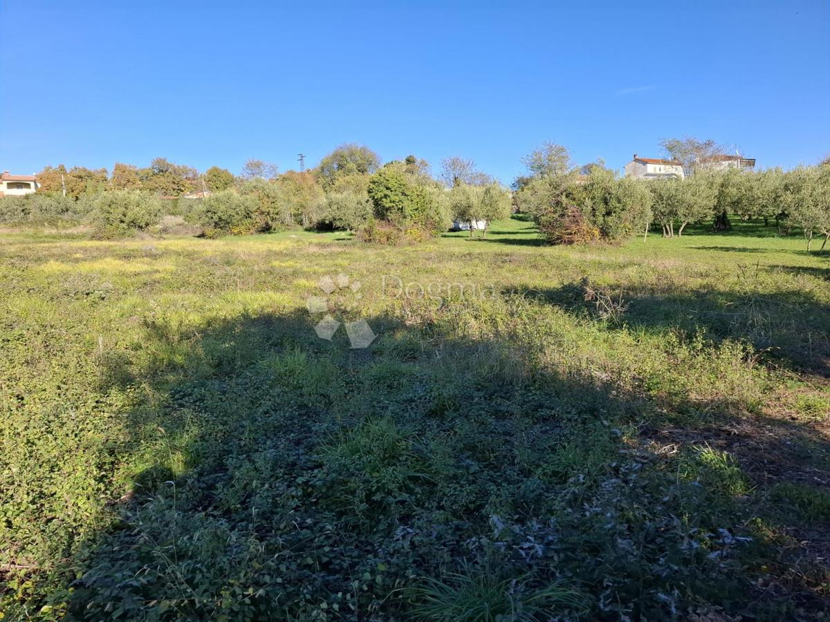 Terreno edificabile Poreč, 751m2