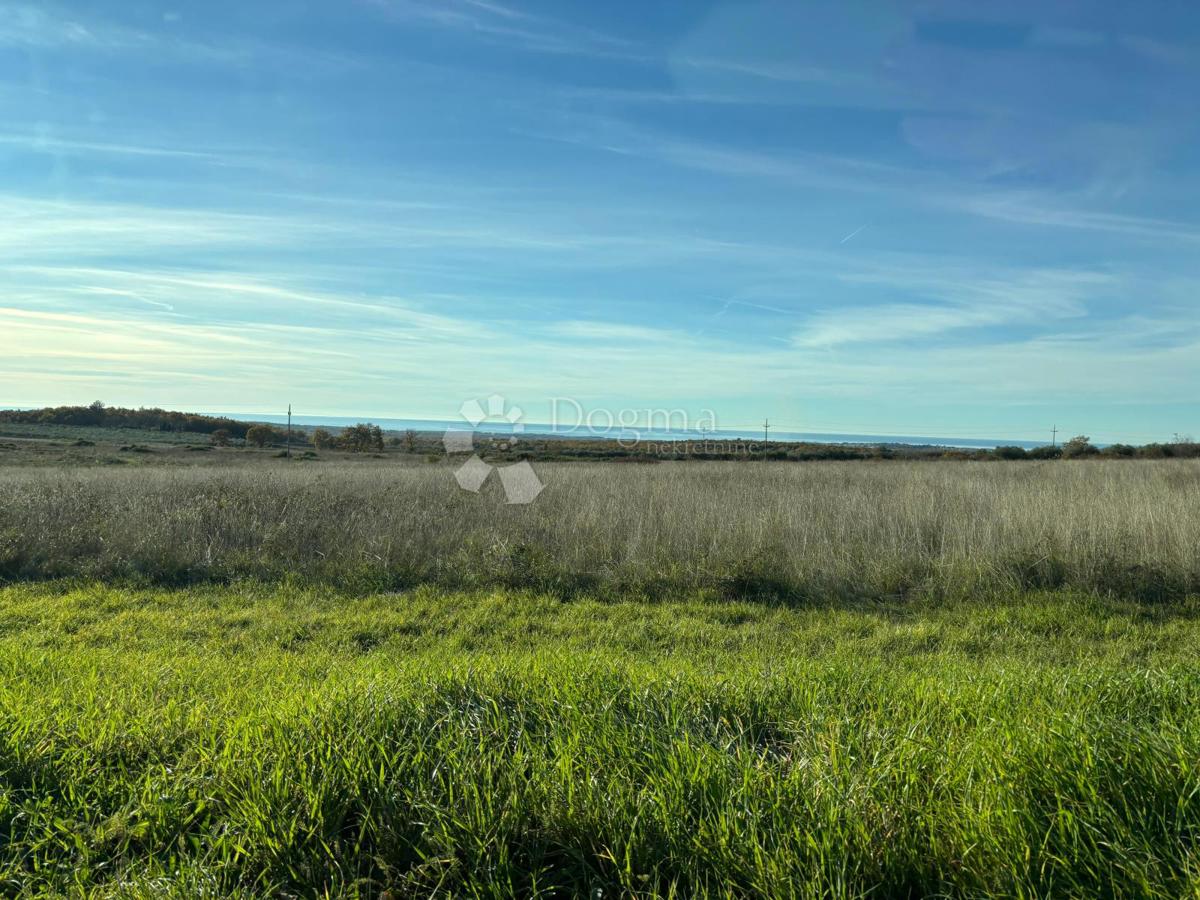 Terreno edificabile Poreč, 977m2