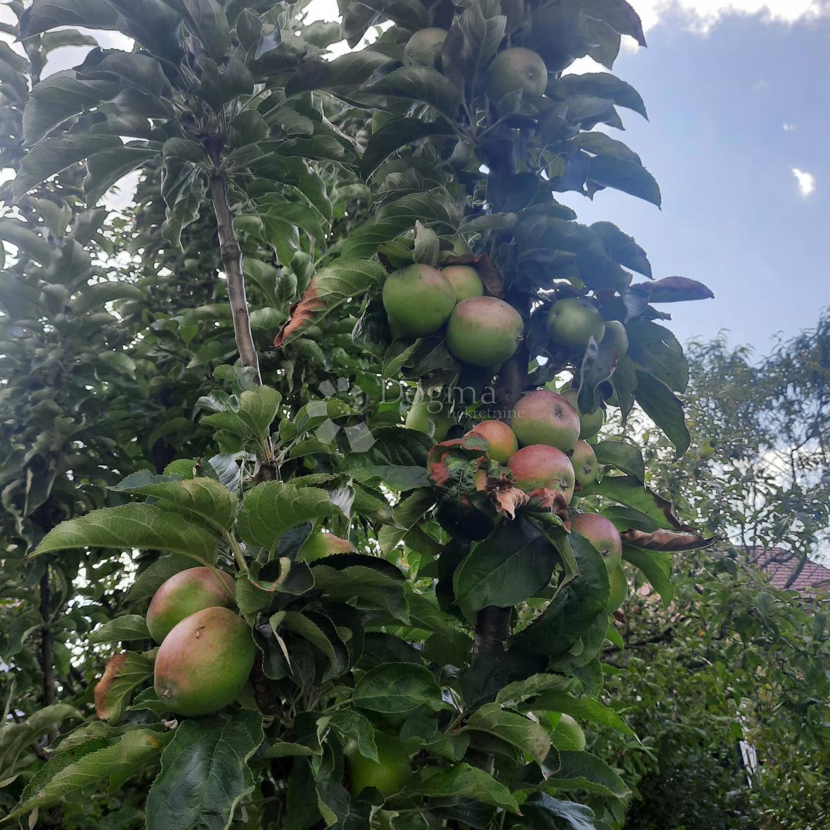 Casa Varaždinske Toplice, 300m2