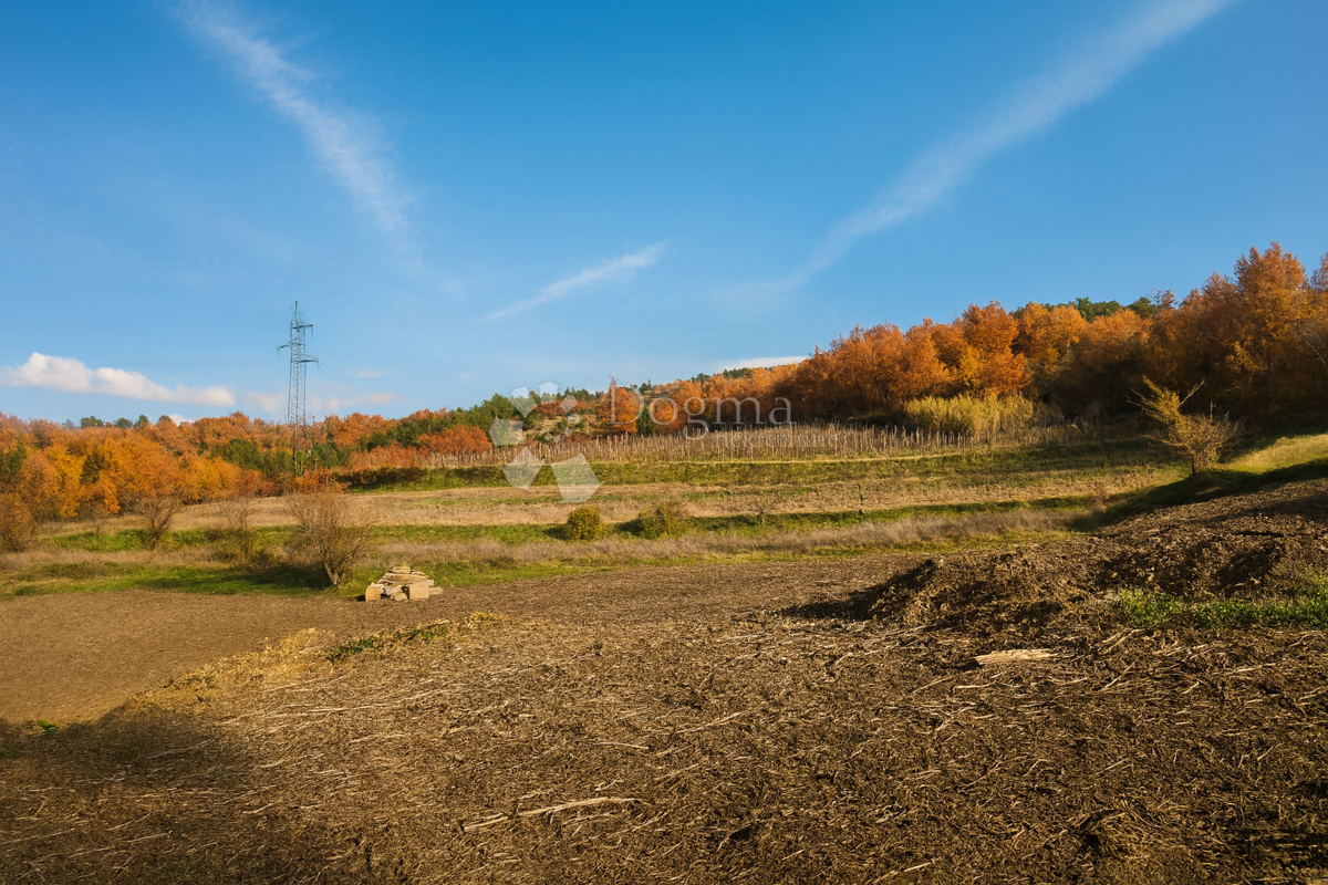 Terreno di pregio nel cuore dell'Istria - ideale per una villa moderna con piscina