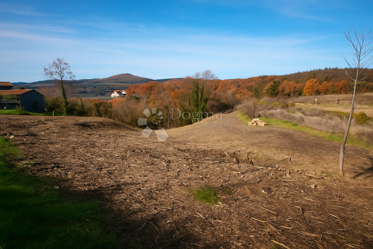 Terreno di pregio nel cuore dell'Istria - ideale per una villa moderna con piscina