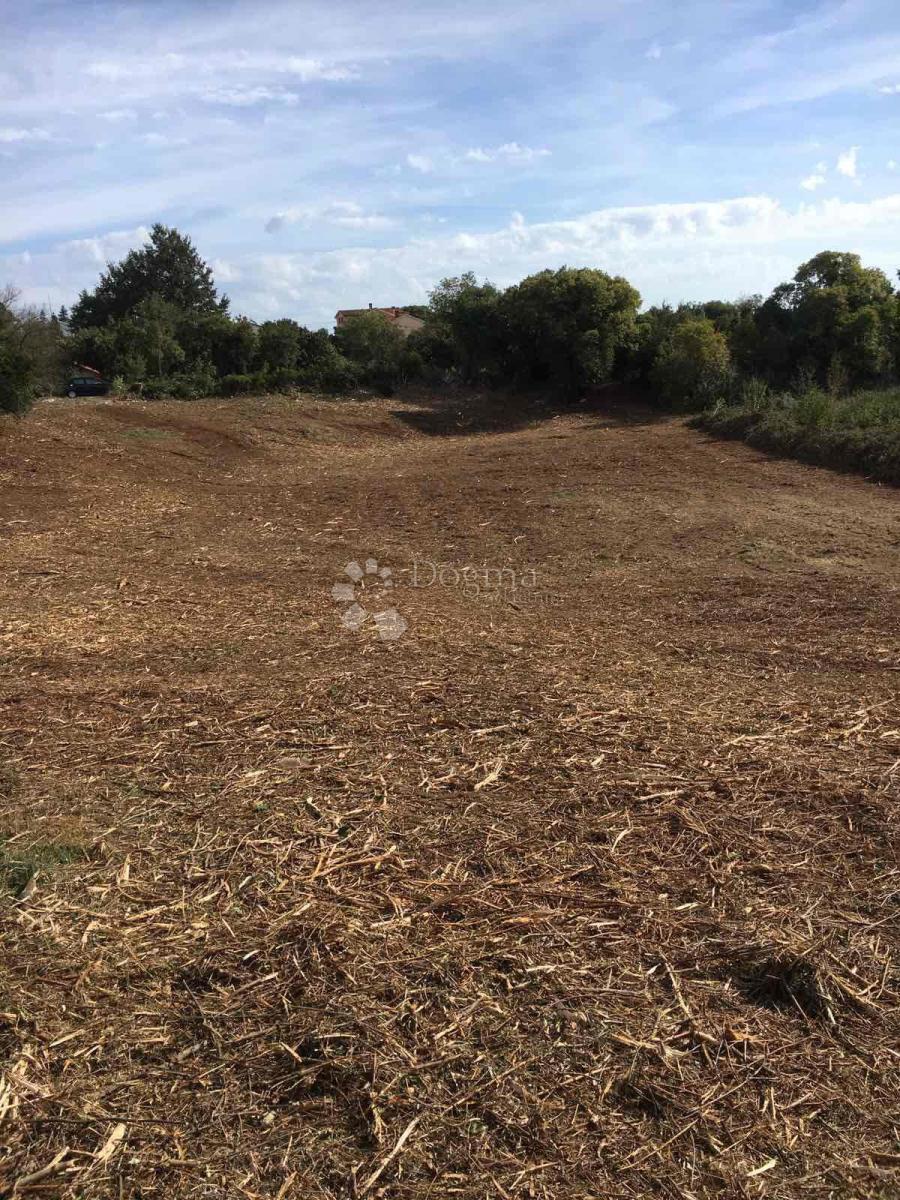 TERRENO EDIFICABILE KRNICA 780M2