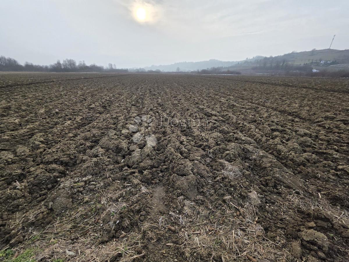 Terreno agricolo Luka, 3.766m2