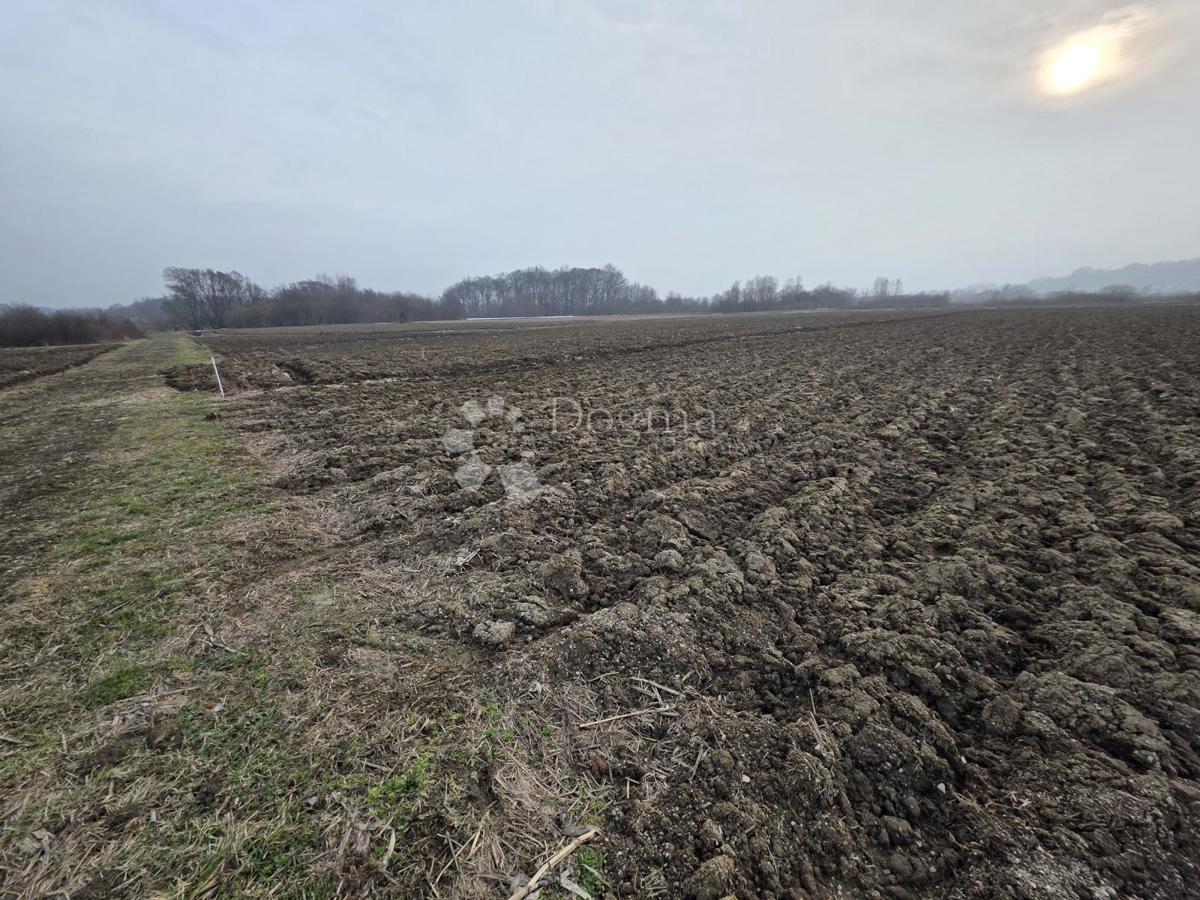 Terreno agricolo Luka, 3.766m2