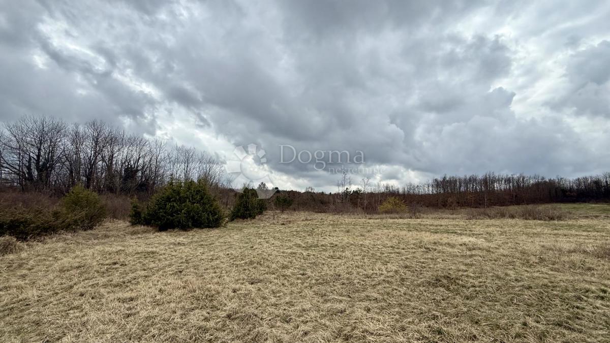 Terreno agricolo Bazgalji, Gračišće, 61.785m2