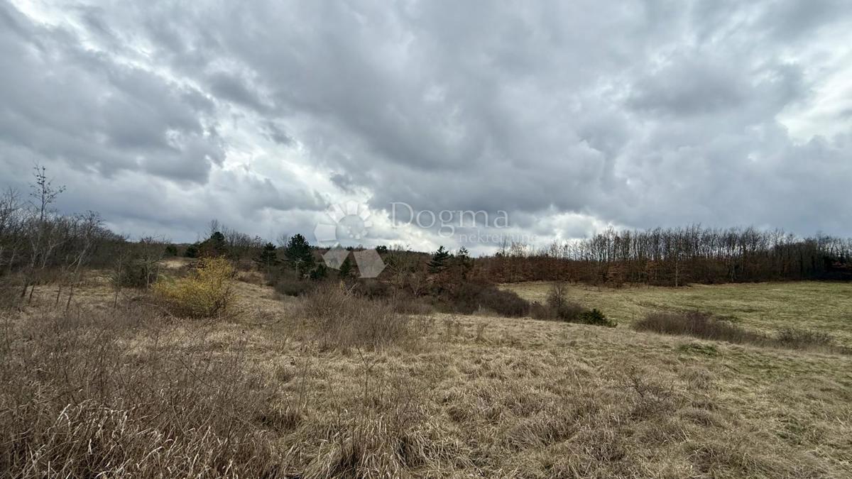 Terreno agricolo Bazgalji, Gračišće, 61.785m2