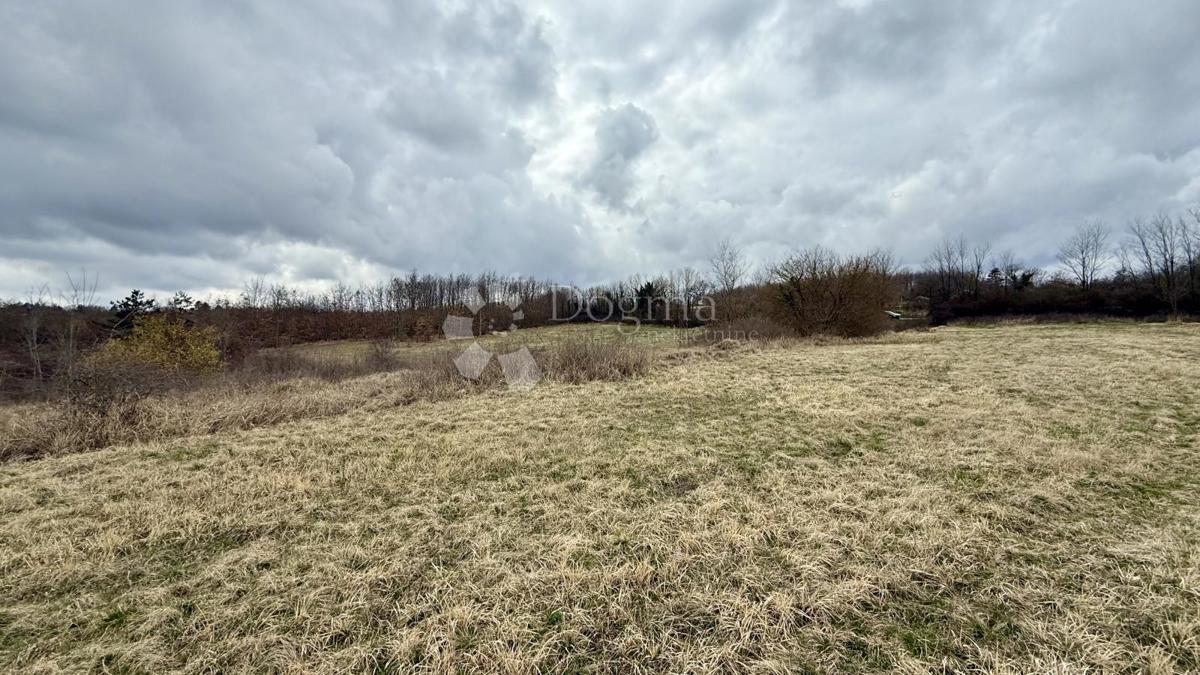 Terreno agricolo Bazgalji, Gračišće, 61.785m2