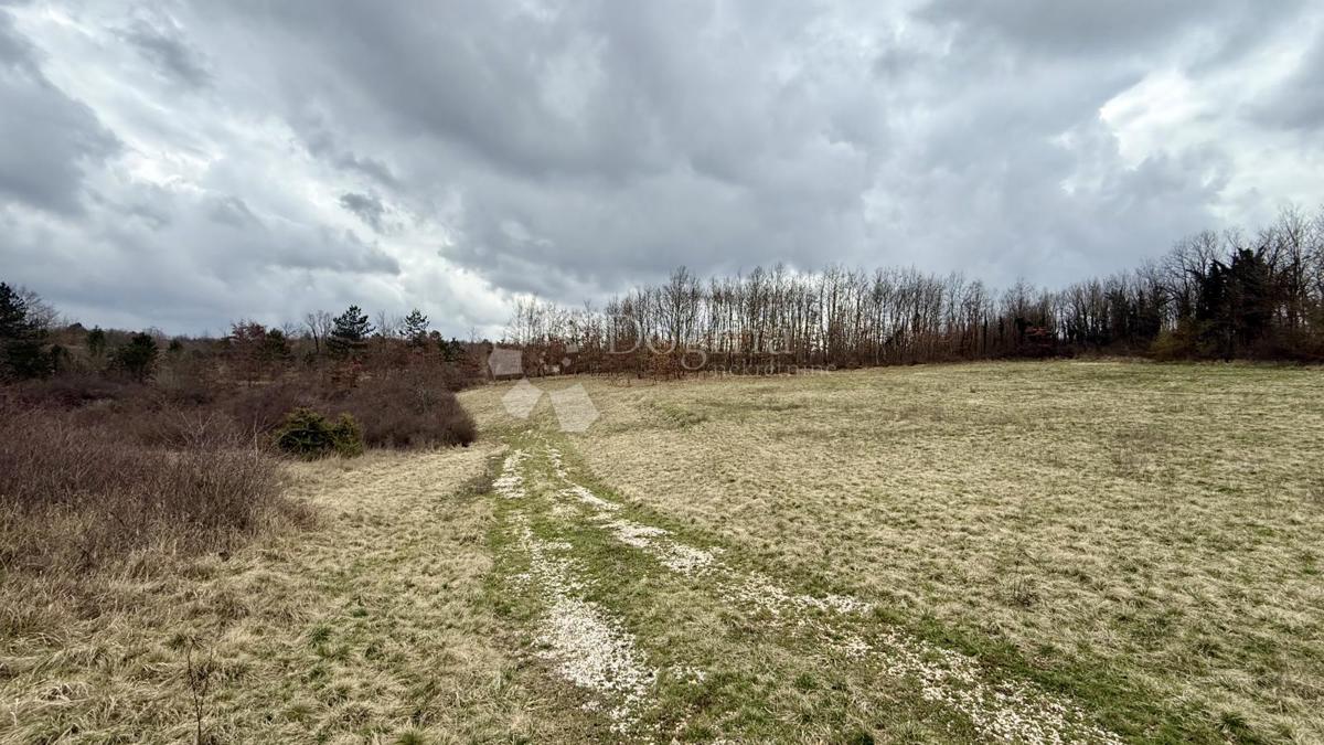 Terreno agricolo Bazgalji, Gračišće, 61.785m2