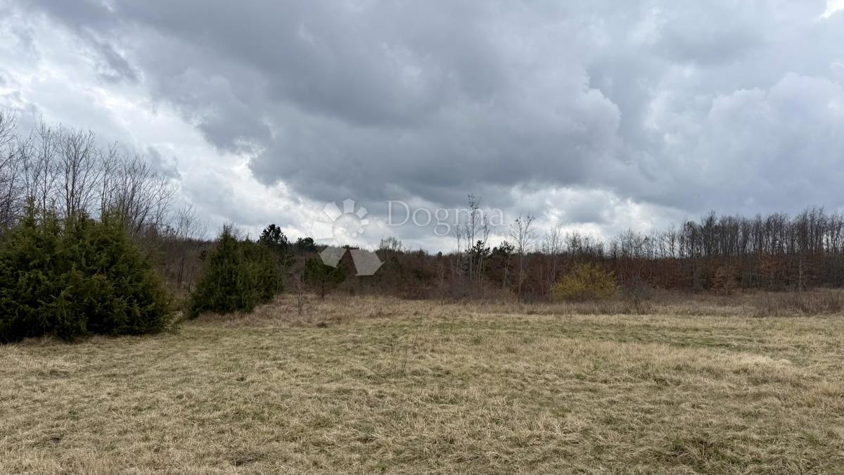 Terreno agricolo Bazgalji, Gračišće, 61.785m2