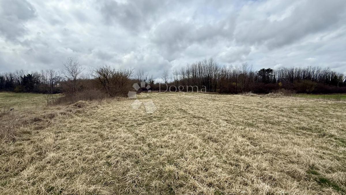 Terreno agricolo Bazgalji, Gračišće, 61.785m2