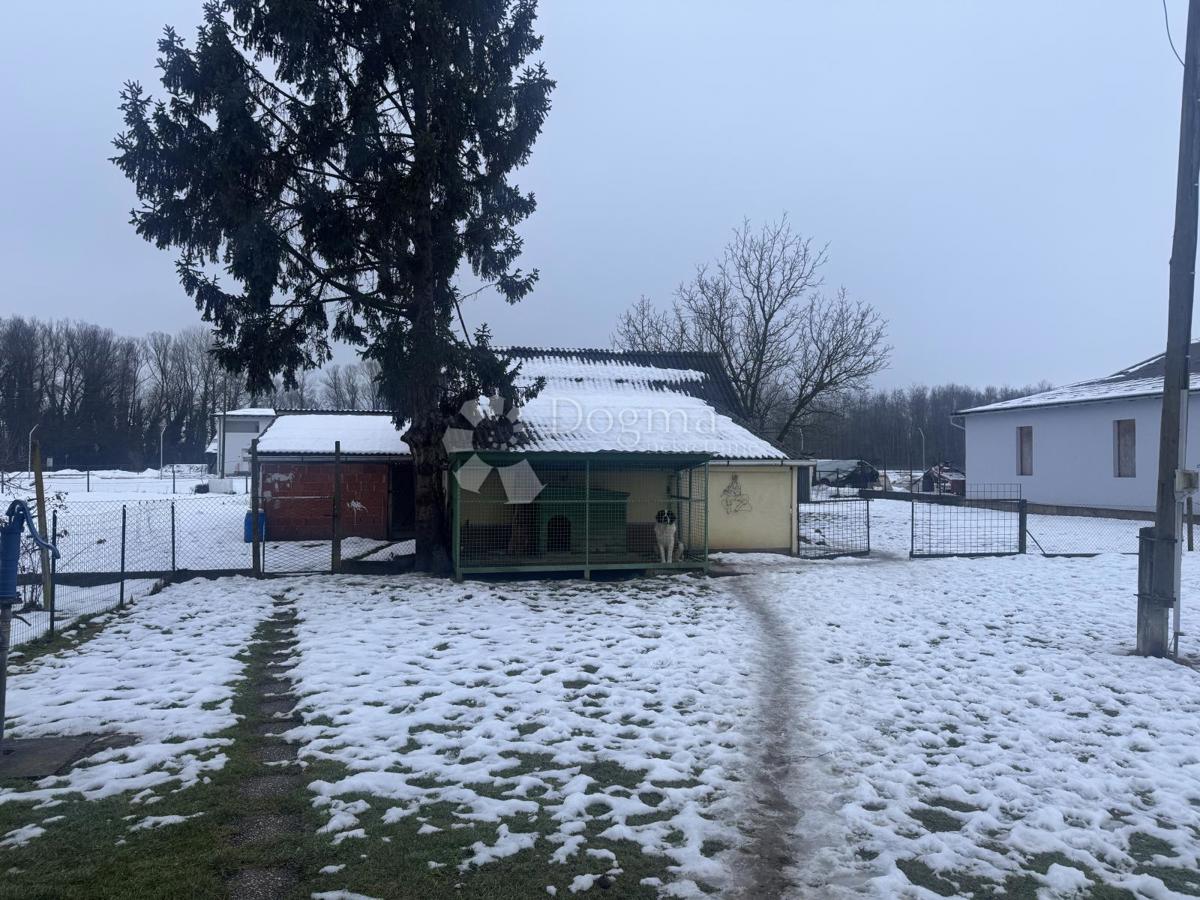 Casa Otok Virje, Cestica, 120m2