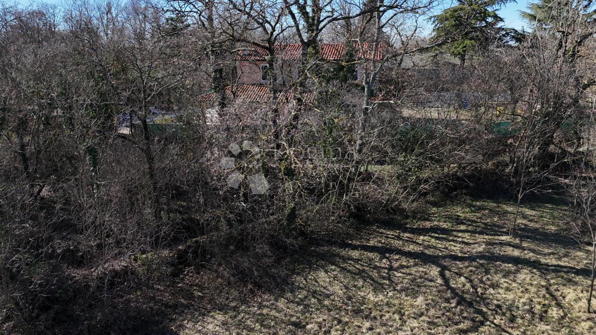 Terreno edificabile Orbanići, Žminj, 3.000m2