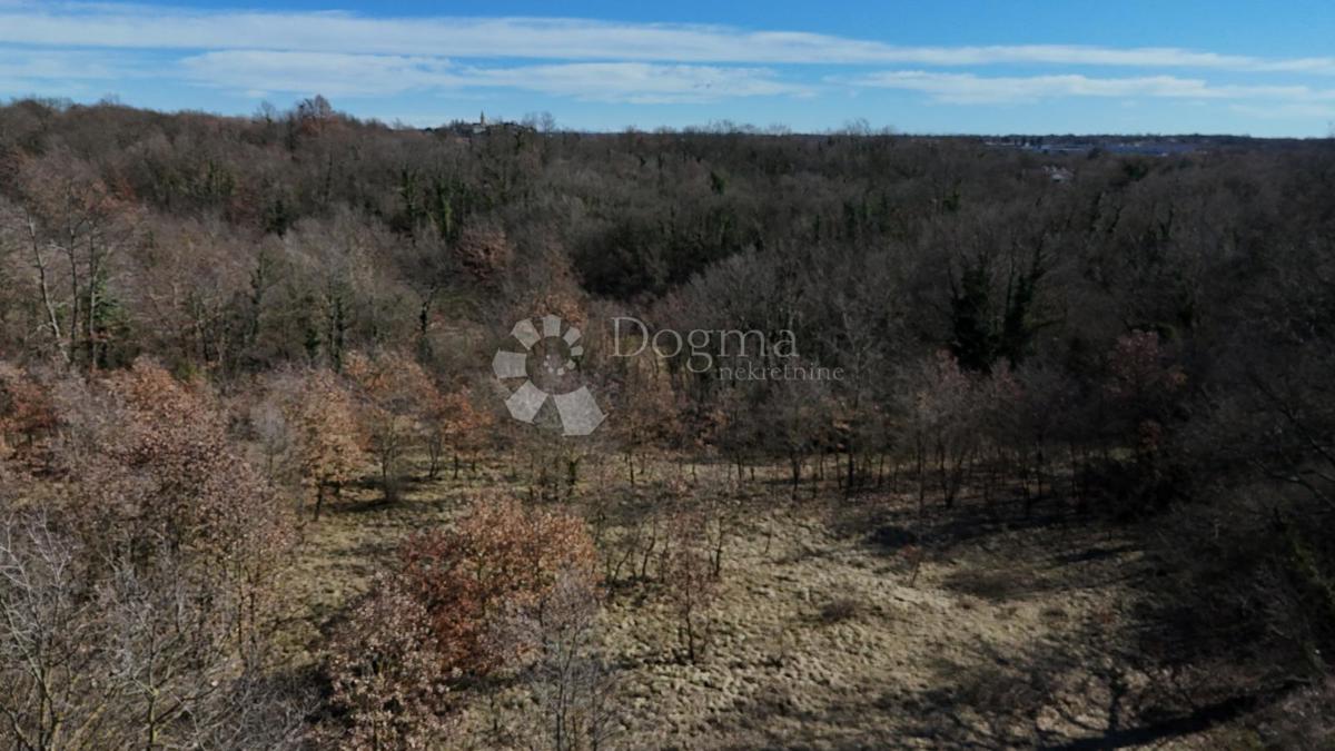 Terreno edificabile Orbanići, Žminj, 3.000m2