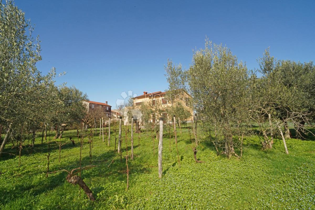 Casa Brtonigla, Brtonigla, Brtonigla, Istarska županija, 230m2