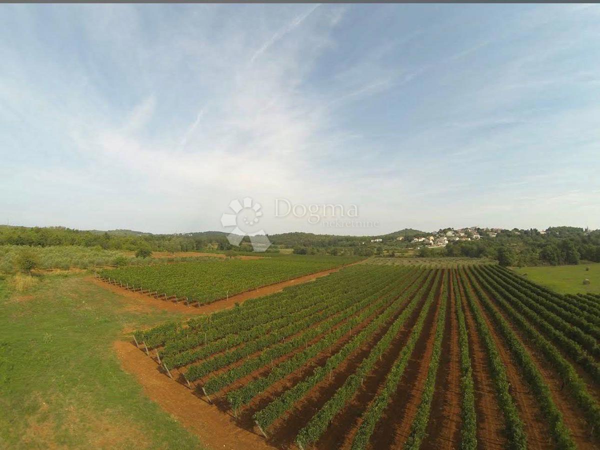 Terreno edificabile Fuškulin, Poreč, 8.596m2