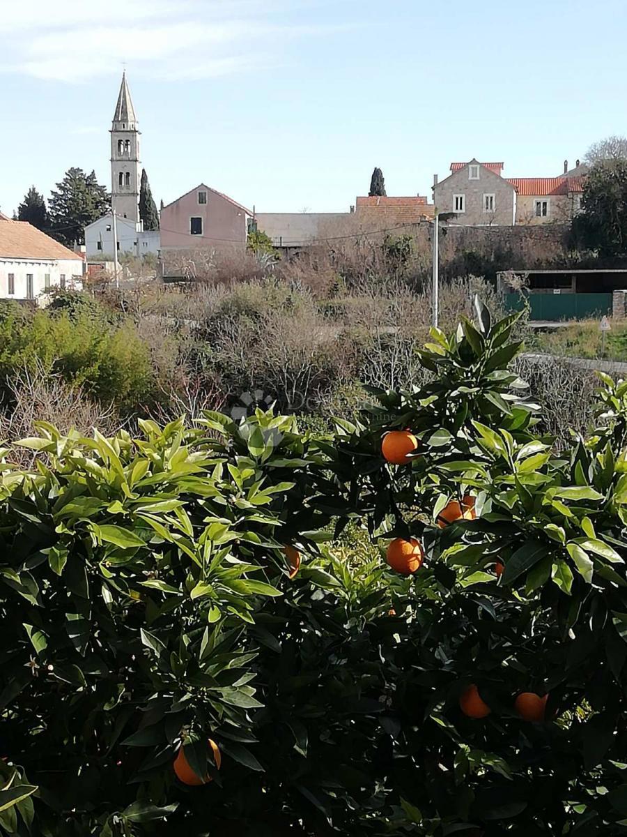 Terreno edificabile Vrbanj, Stari Grad, 1.272m2