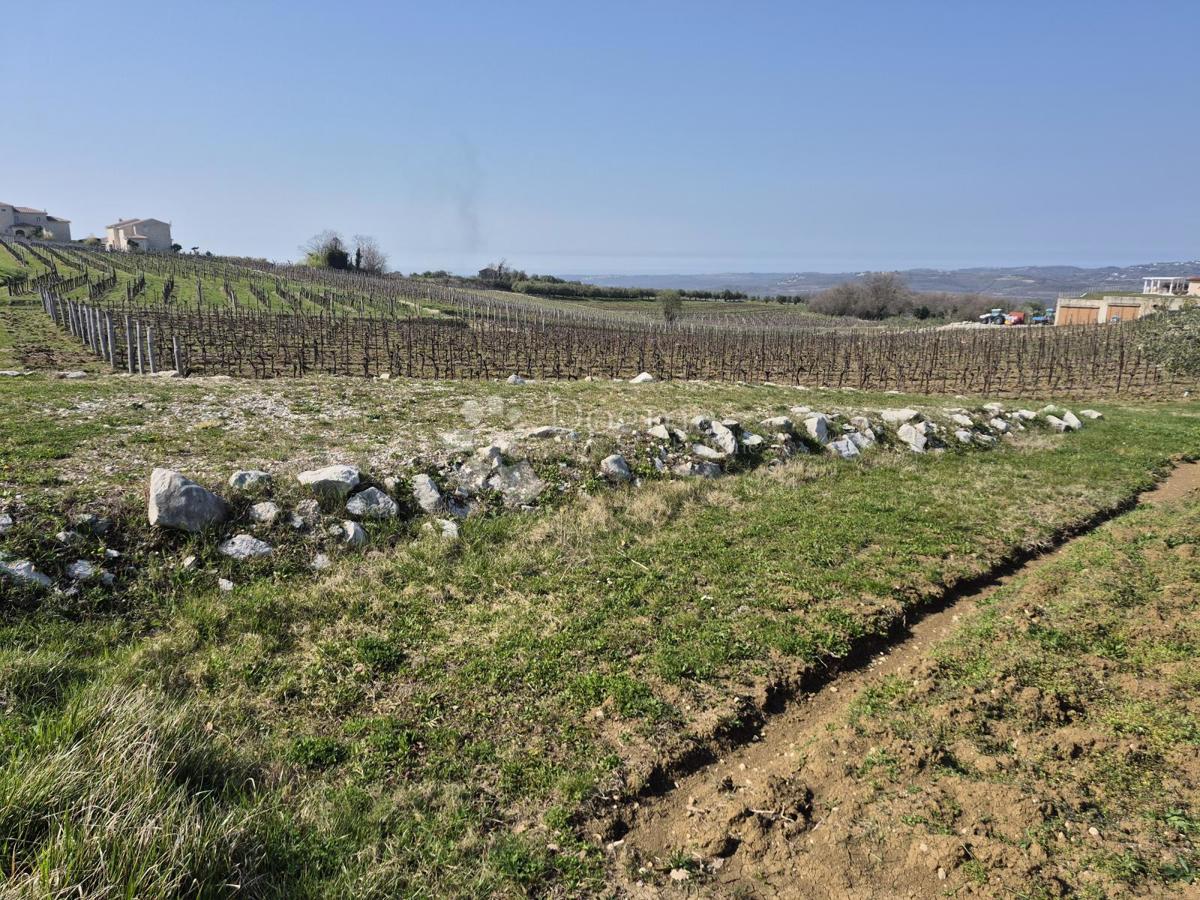 Terreno edificabile Nardući, Vižinada, 1.583m2