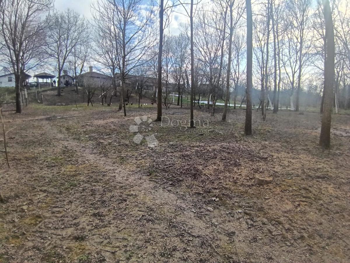 Casa Gornje Predrijevo, Sopje, 120m2