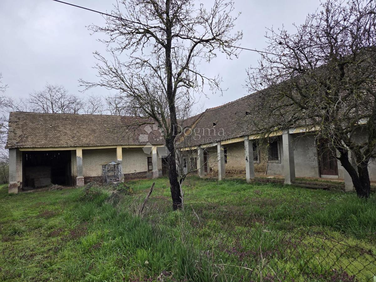 Casa Beli Manastir, 325m2