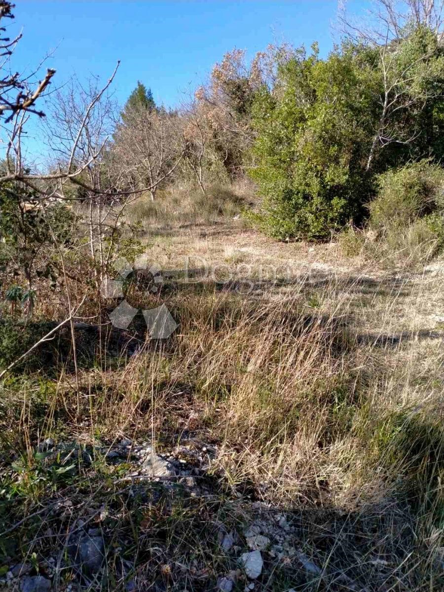 Terreno Seline, Starigrad, 1.525m2