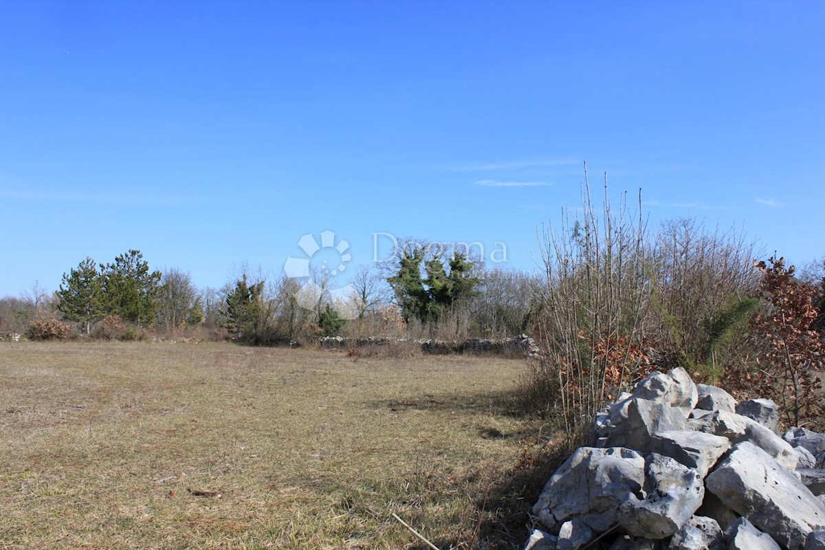 Terreno Svetvinčenat, 20.132m2