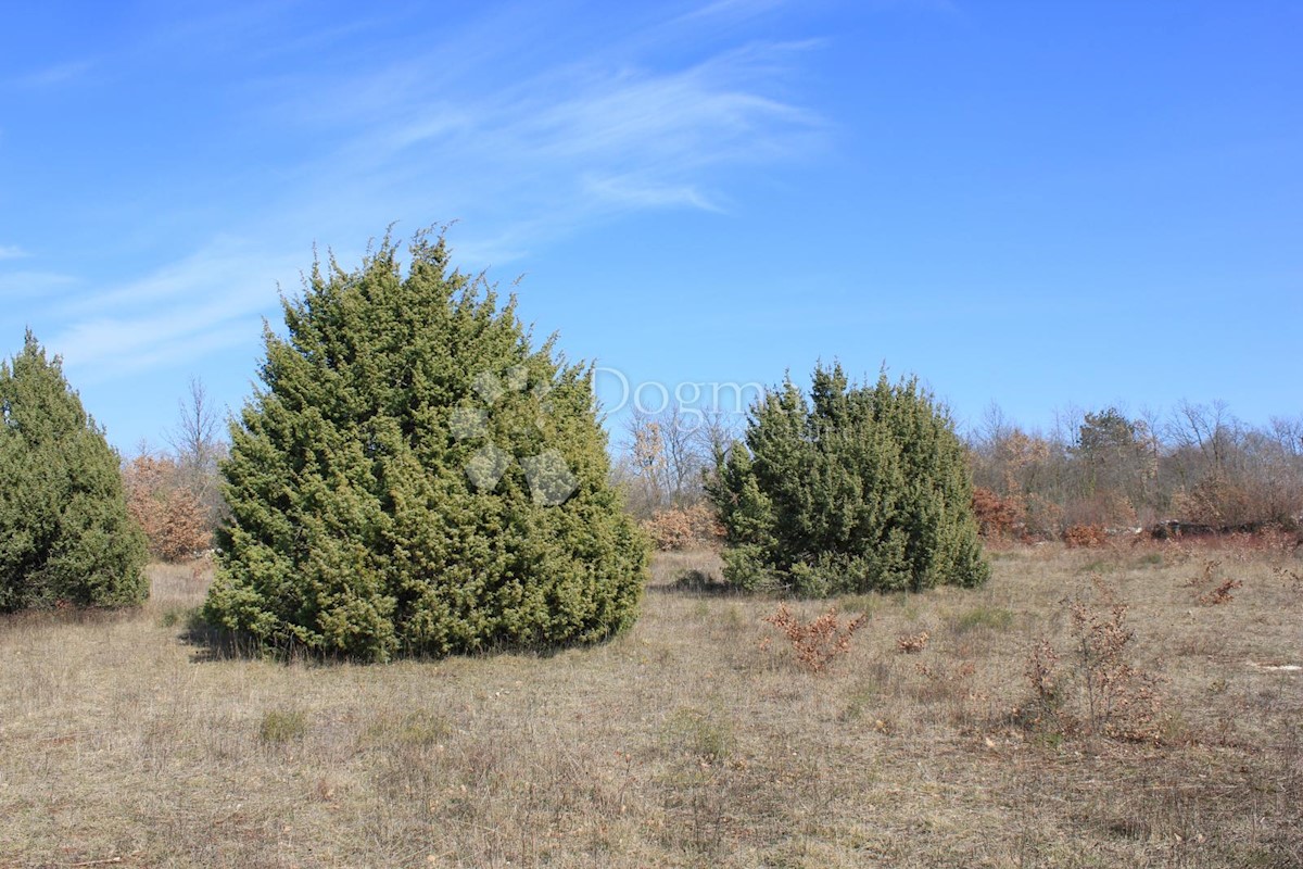 Terreno Svetvinčenat, 20.132m2