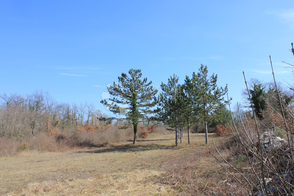 Terreno Svetvinčenat, 20.132m2