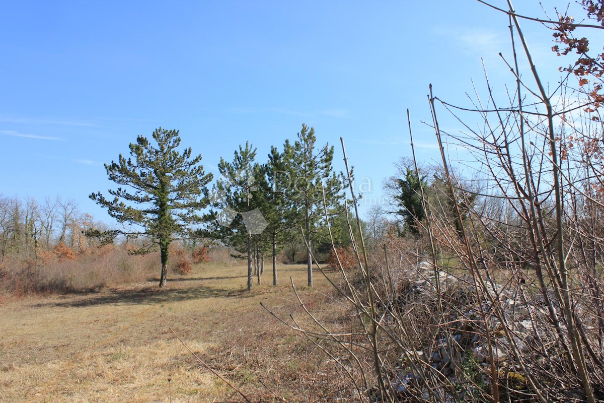 Terreno Svetvinčenat, 20.132m2