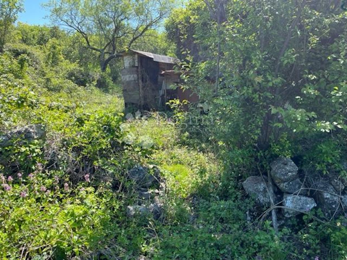 Terreno, ottima posizione, intorni Albona