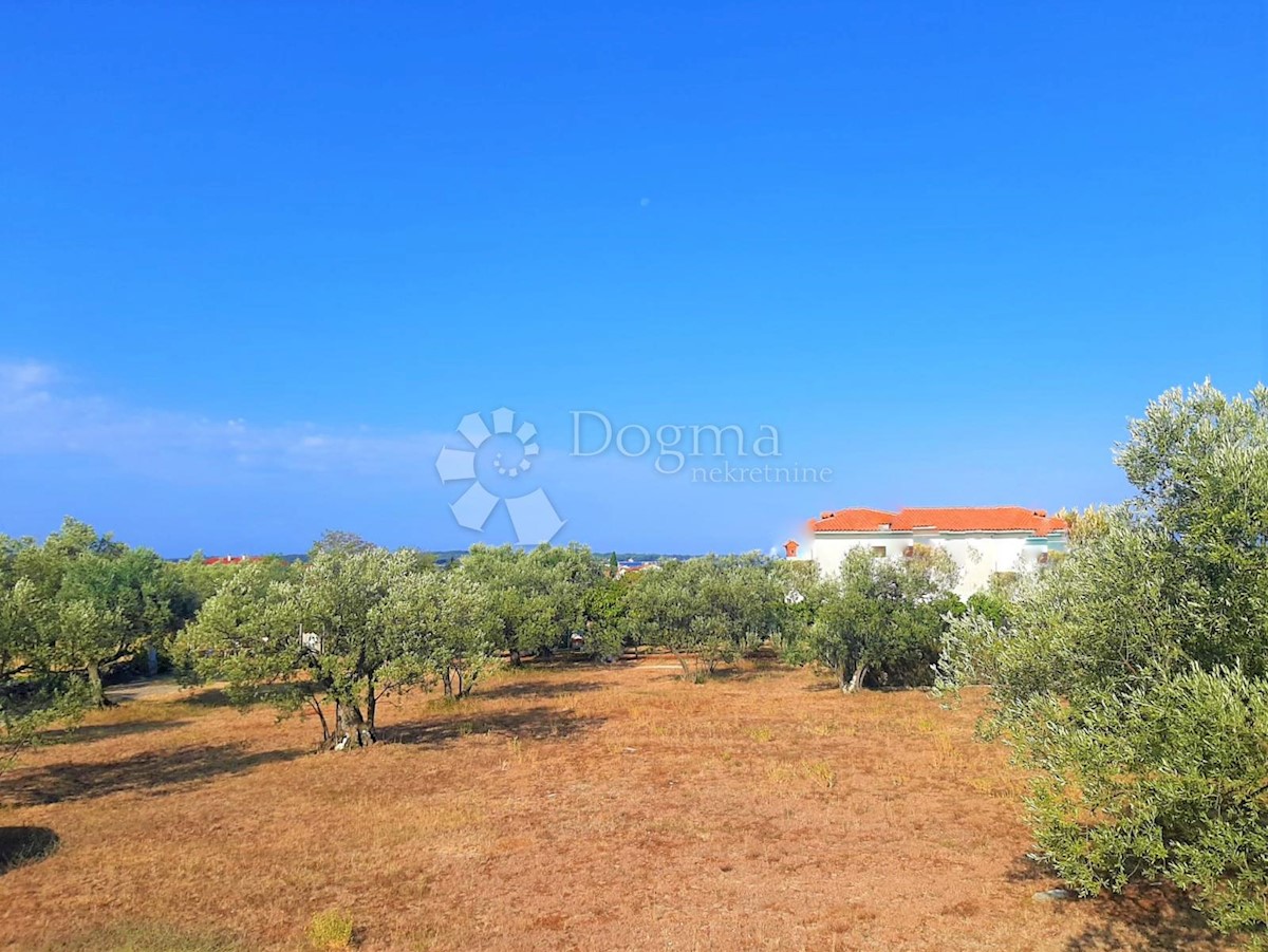 BELLISSIMO TERRENO AGRICOLO CON VISTA SU BRJUNE