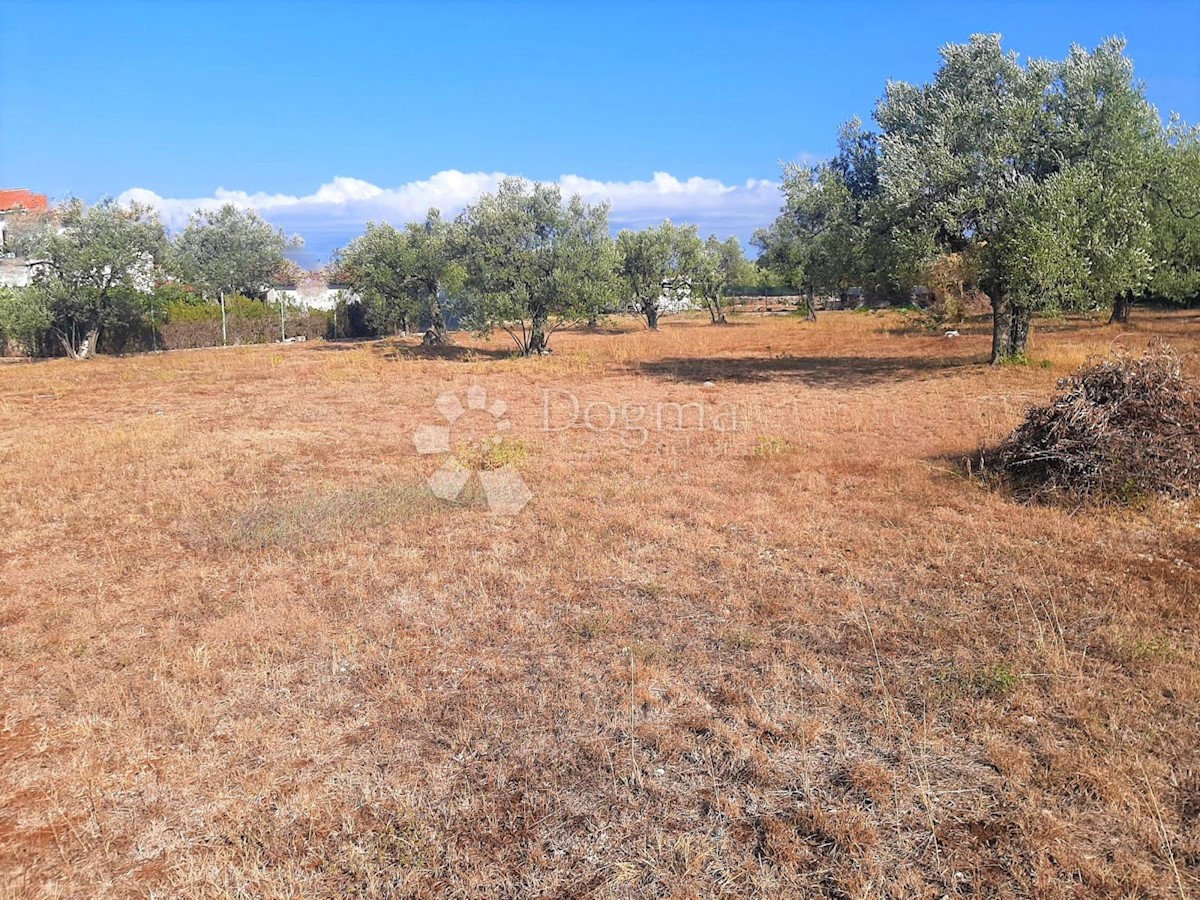 BELLISSIMO TERRENO AGRICOLO CON VISTA SU BRJUNE