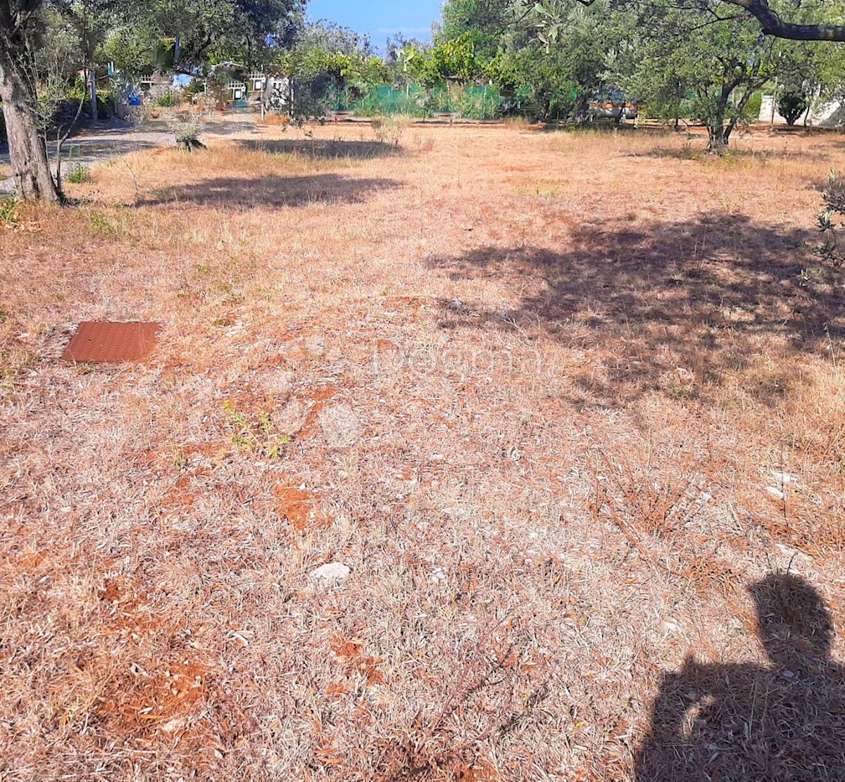 BELLISSIMO TERRENO AGRICOLO CON VISTA SU BRJUNE