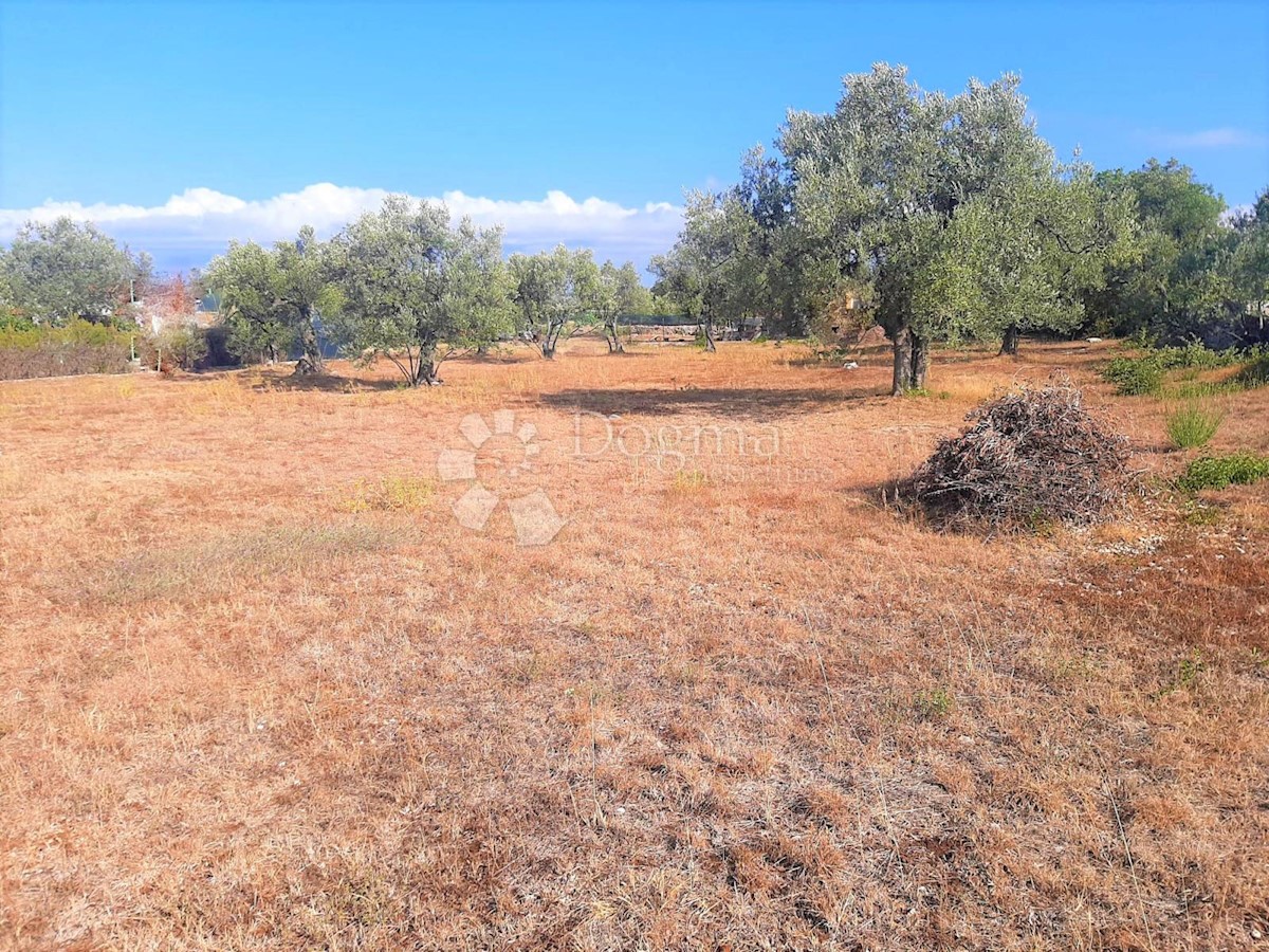 BELLISSIMO TERRENO AGRICOLO CON VISTA SU BRJUNE