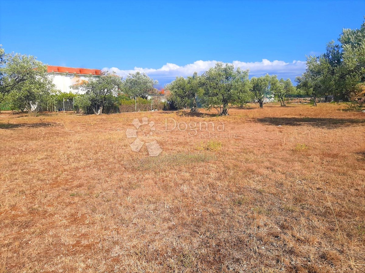 BELLISSIMO TERRENO AGRICOLO CON VISTA SU BRJUNE