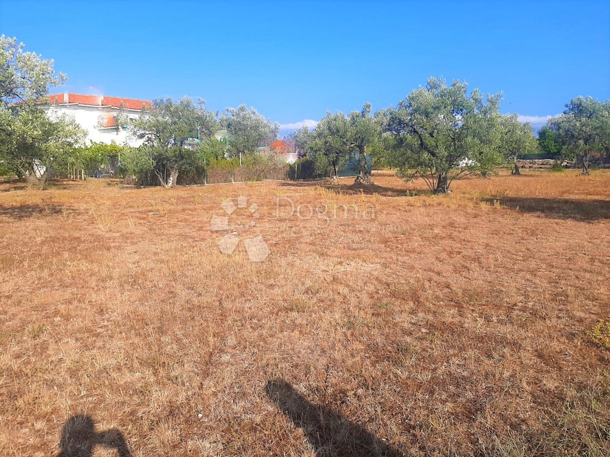 BELLISSIMO TERRENO AGRICOLO CON VISTA SU BRJUNE