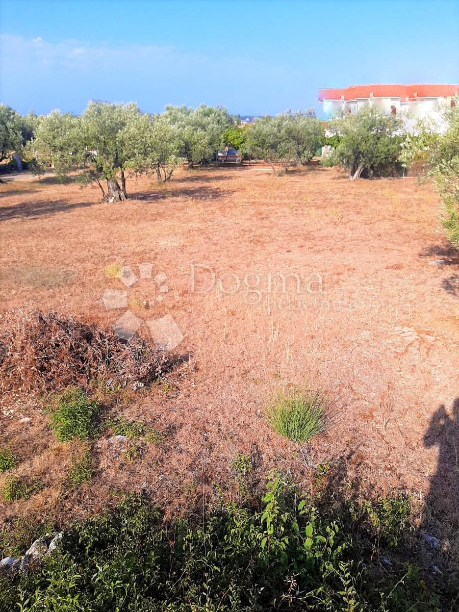 BELLISSIMO TERRENO AGRICOLO CON VISTA SU BRJUNE