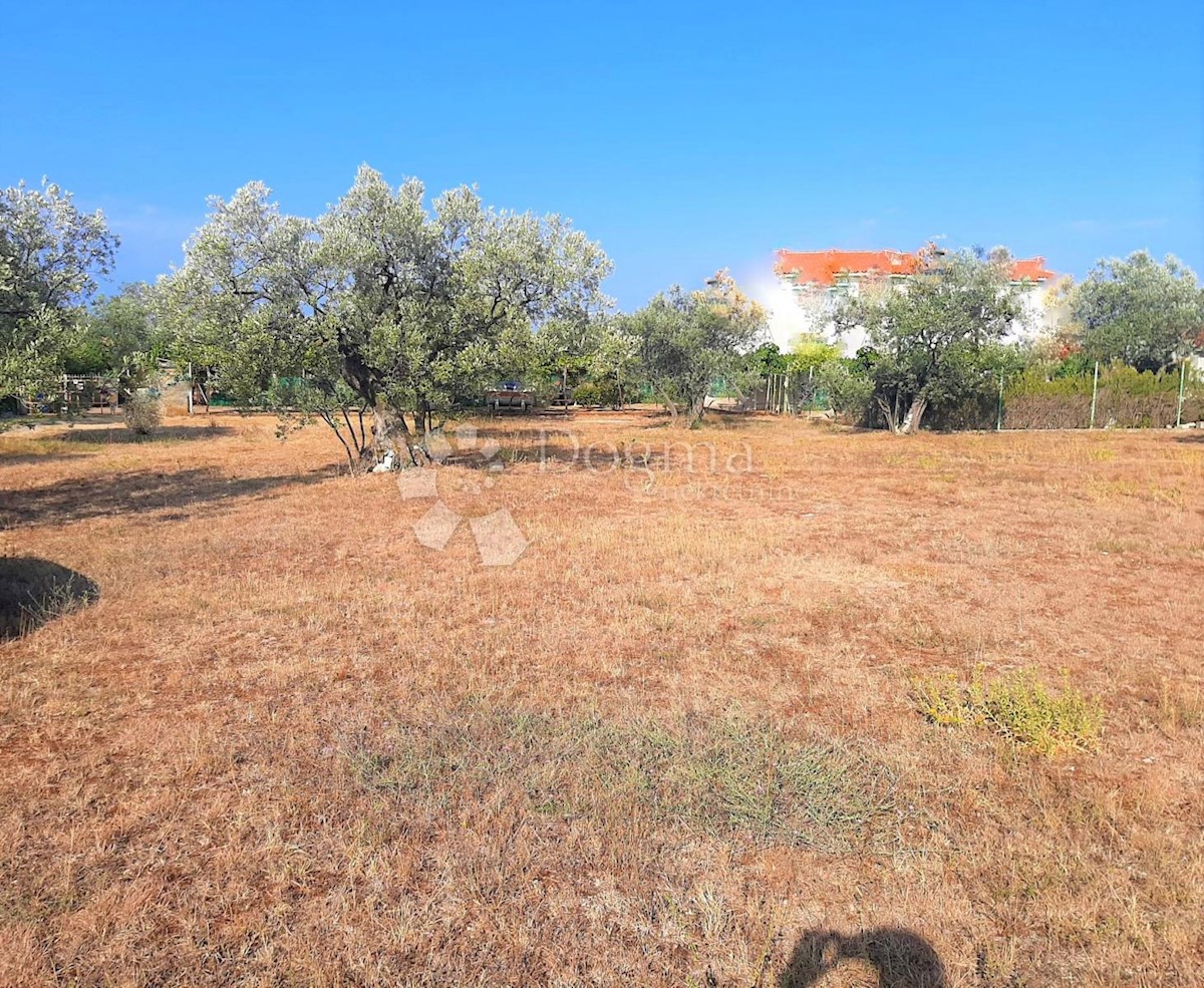 BELLISSIMO TERRENO AGRICOLO CON VISTA SU BRJUNE