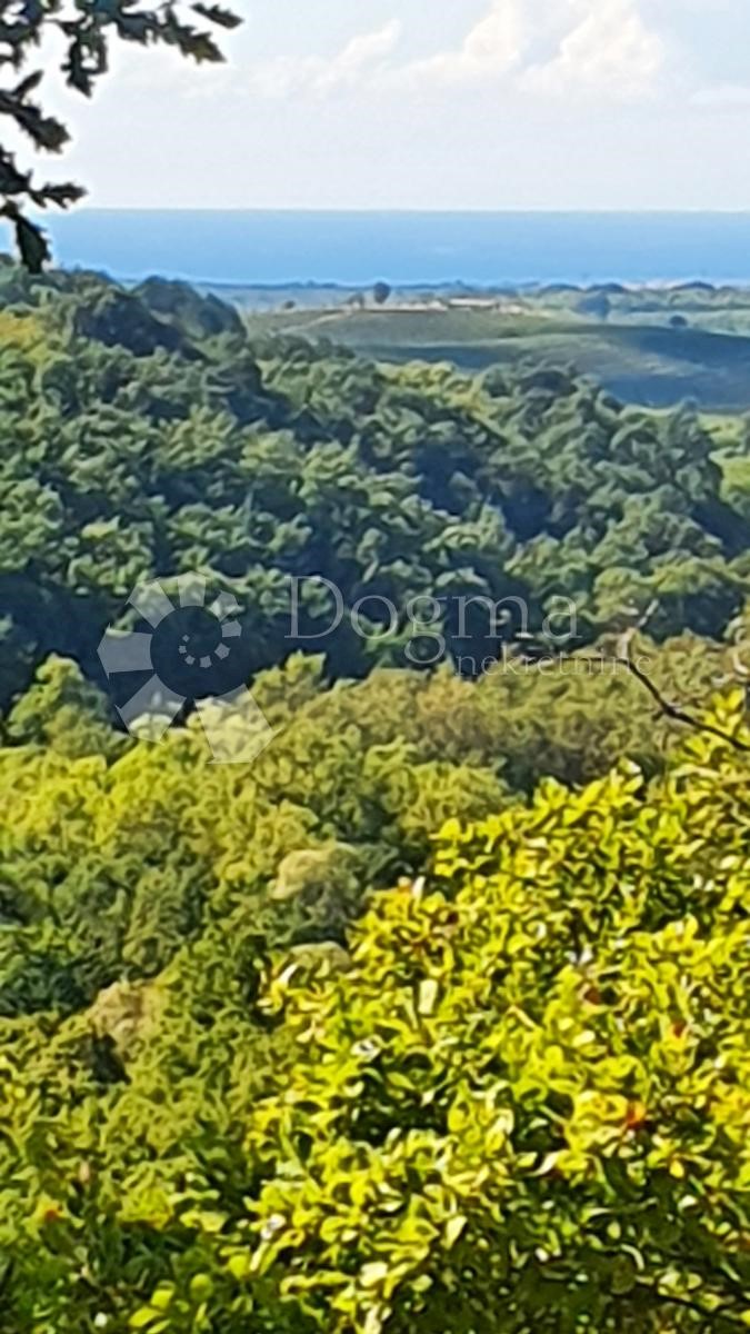 Terreno Buje, 18.000m2