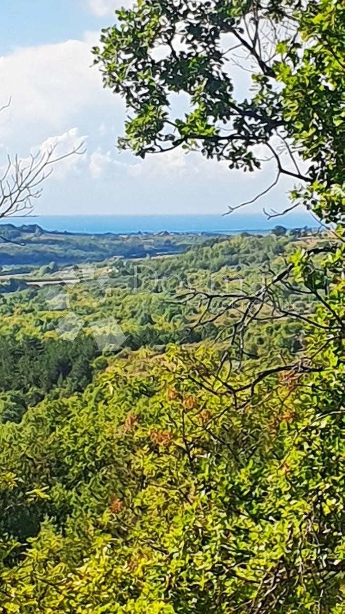 Terreno Buje, 18.000m2