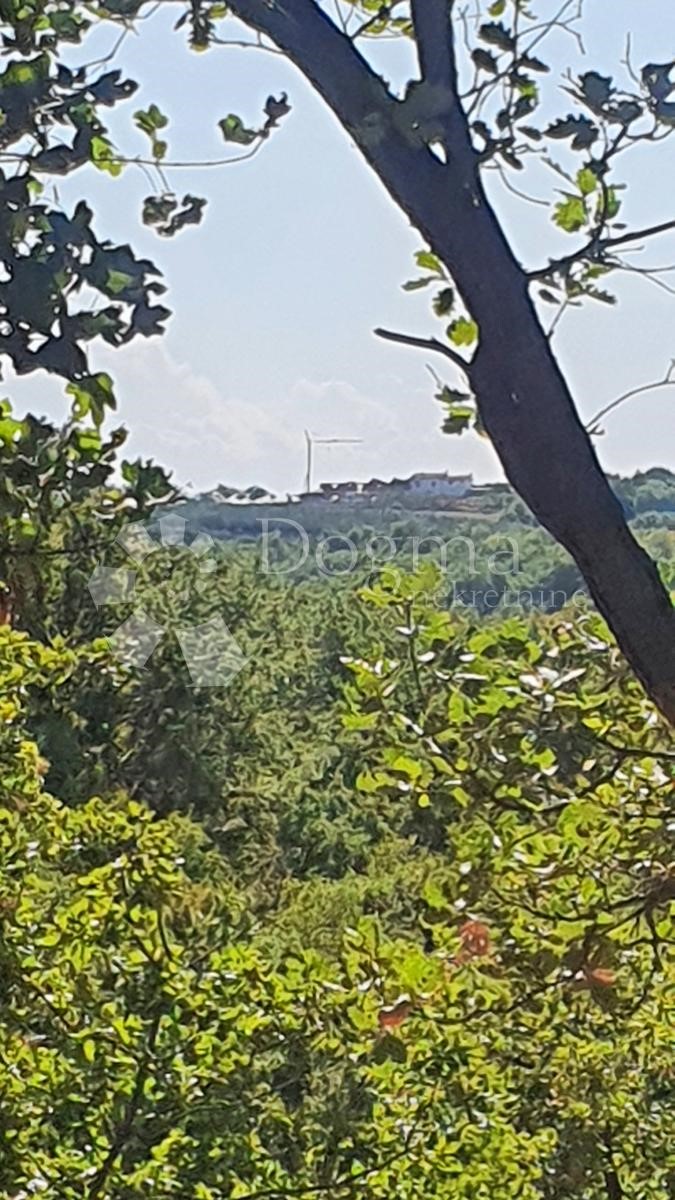 Terreno Buje, 18.000m2