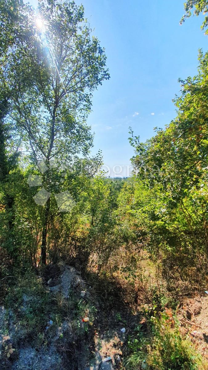 Terreno Buje, 18.000m2