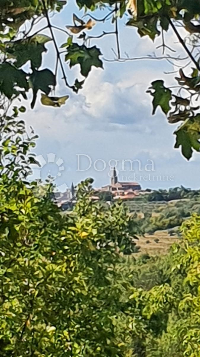 Terreno Buje, 18.000m2