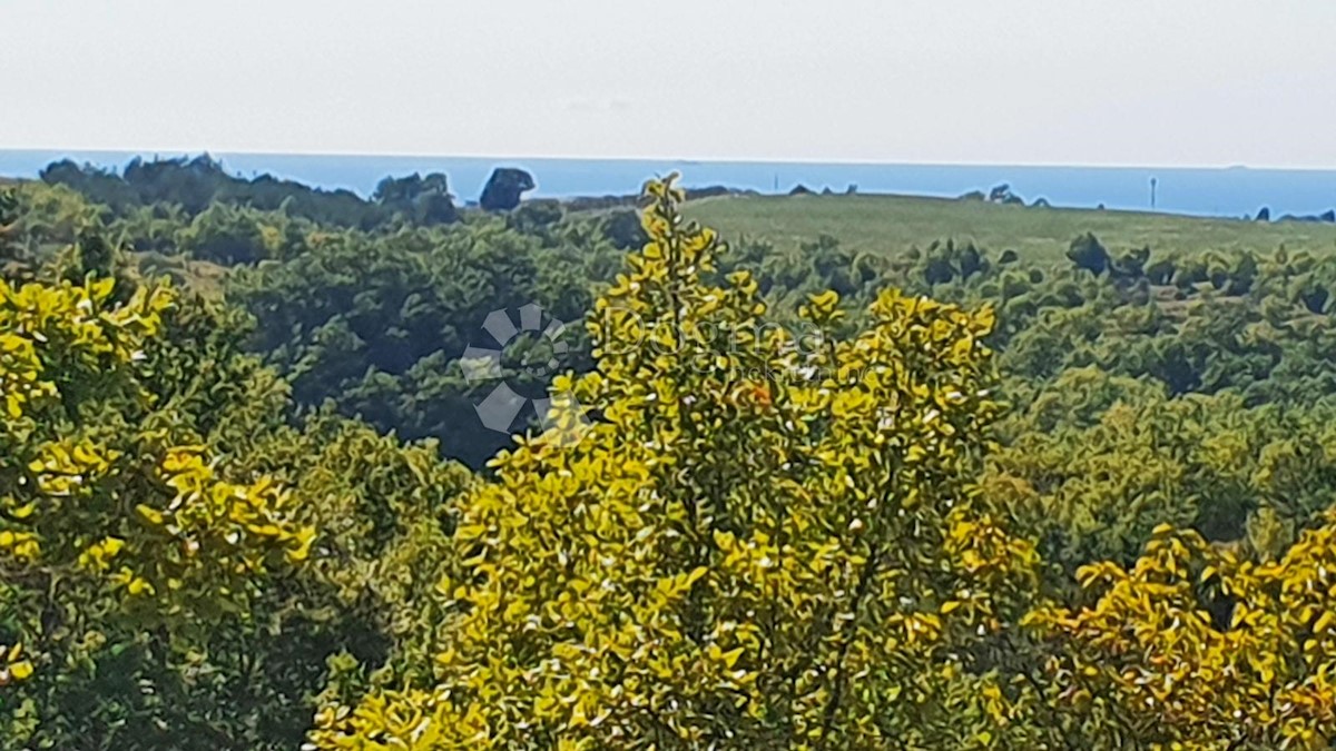 Terreno Buje, 18.000m2