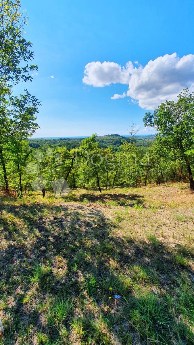 Terreno Buje, 18.000m2