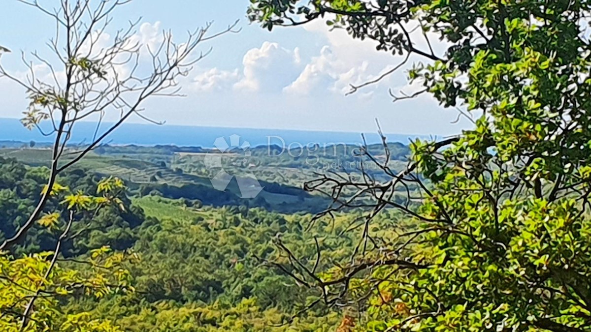 Terreno Buje, 18.000m2