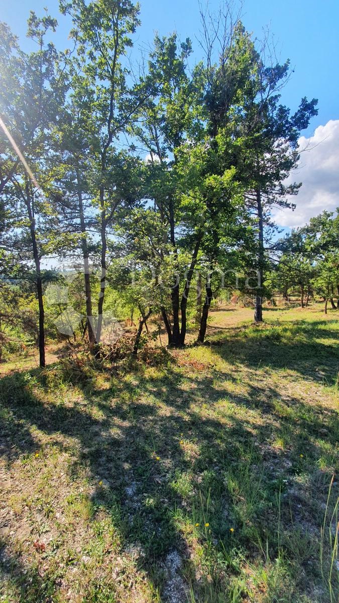 Terreno Buje, 18.000m2