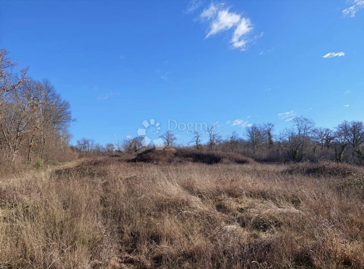 Terreno Sošići, Kanfanar, 9.300m2