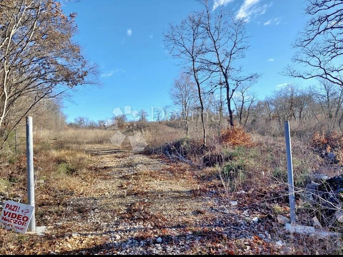 Terreno Sošići, Kanfanar, 9.300m2