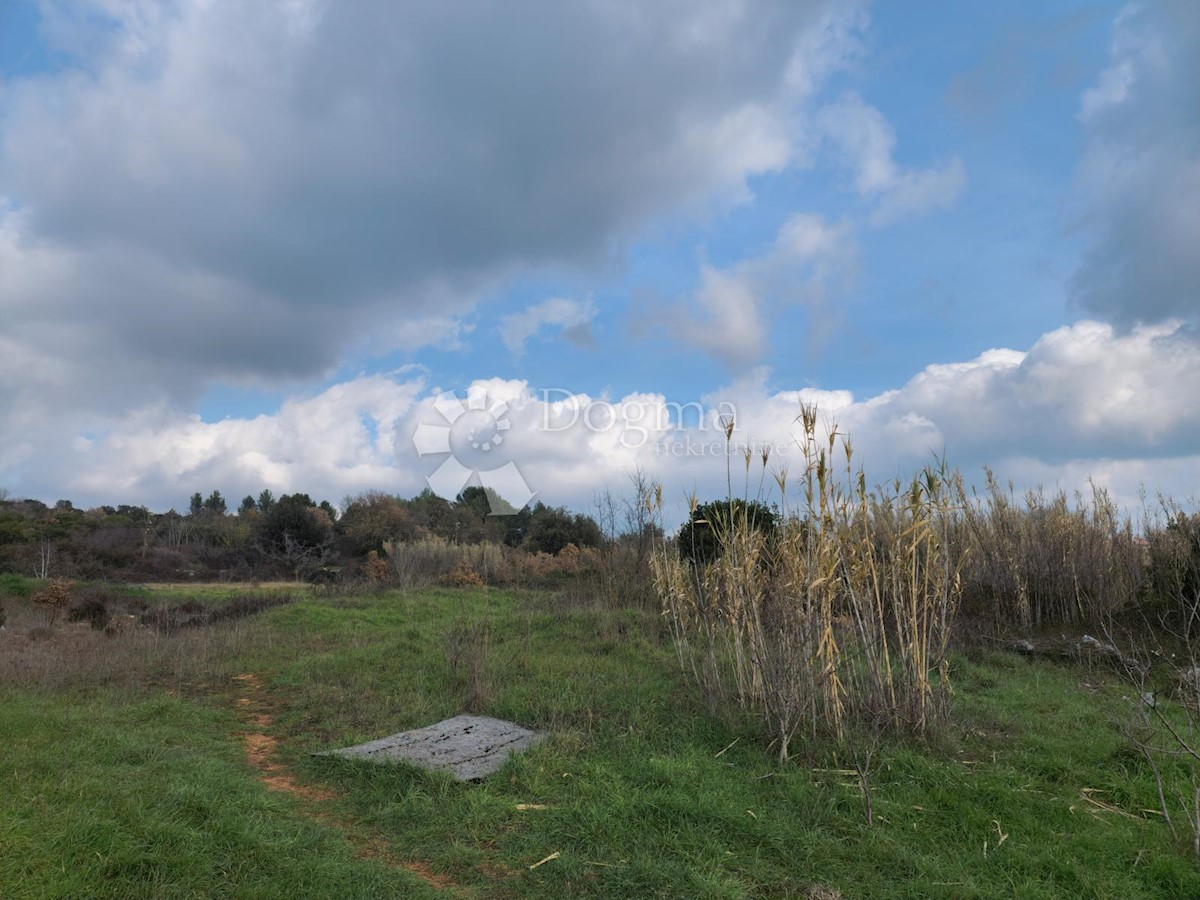 Terreno Šijana, Pula, 12.175m2